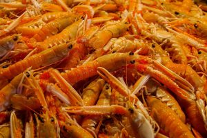 Fish Shrimp Crab in Uttar Pradesh: Complete 2026 Guide for Indian Players