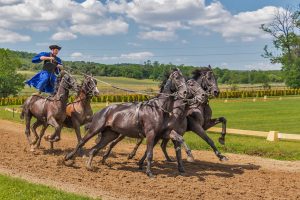Top 50 Best Odds for Horse Racing Download: Pro Tips to Win in India (2027)