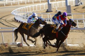 How to Popular Horse Racing Betting Apps: Step-by-Step Guide for India (2027)